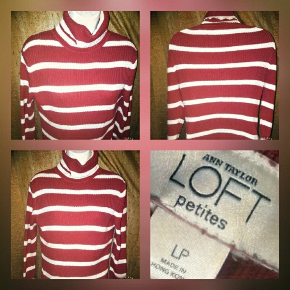 Ann Taylor Loft Turtlen sweater